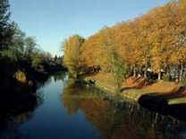 reflets002b.JPG (49198 octets)